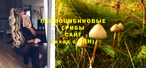 каннабис Бородино