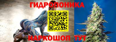спайс Можга