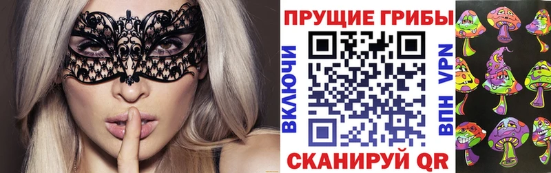 Псилоцибиновые грибы Psilocybine cubensis  Дальнегорск 